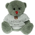 Promotional item, teddy bear